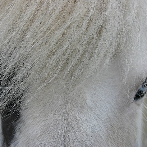 Hollaröðun fyrir dagana 14.-18. júní - Hella og Hafnarfjörður