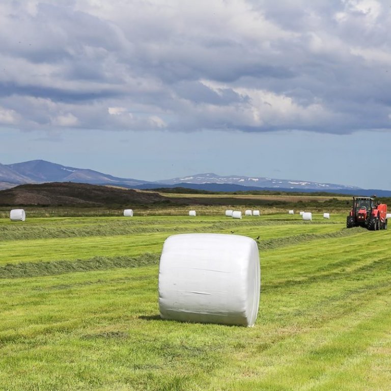 Væntanlegar verðhækkanir á áburði – hvað er til ráða?