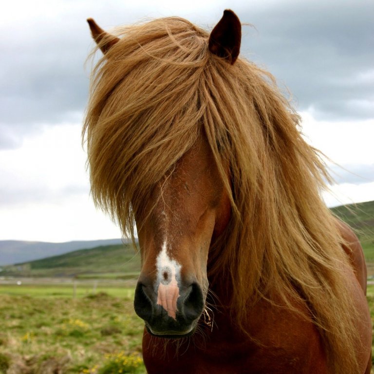 Yfirlit á Hellu 10. júní