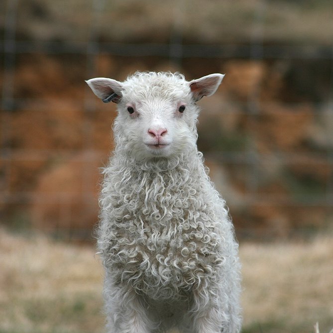 Ítrekun vegna útsendinga á vorbókum 2023