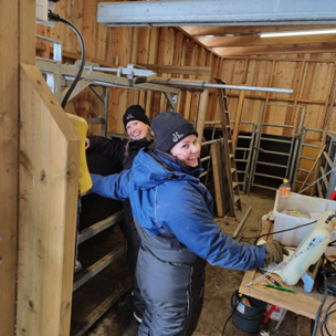 Einföld og góð aðstaða til ómmælingar hjá Høystad Angus. Mynd: Svein Eberhard Østmoe.