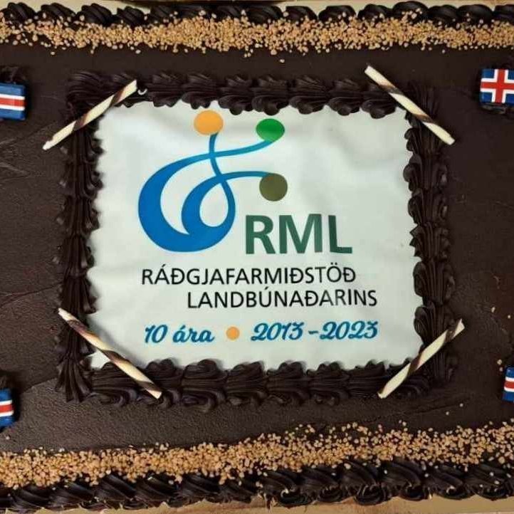 RML 10 ára - Afmæliskaffi á starfsstöðinni á Höfðabakka 9 í Reykjavík