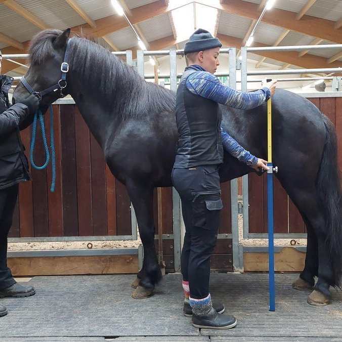Yfirlitssýningar á Rangárbökkum, Hólum og Selfossi á morgun 21. júní