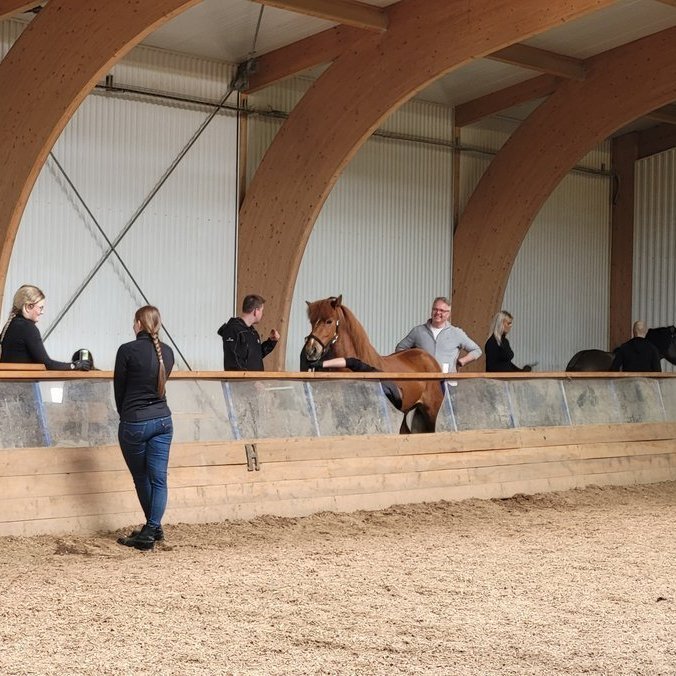 Skráningar á síðsumarssýningar