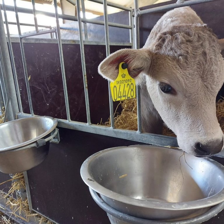 Ráðunautar RML fóru á samræmingarráðstefnu Norðurlandanna í byggingum og bútækni