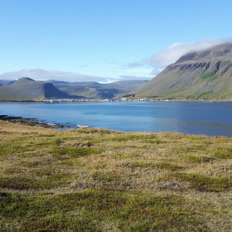 Innlausnarvirði greiðslumarks 2019