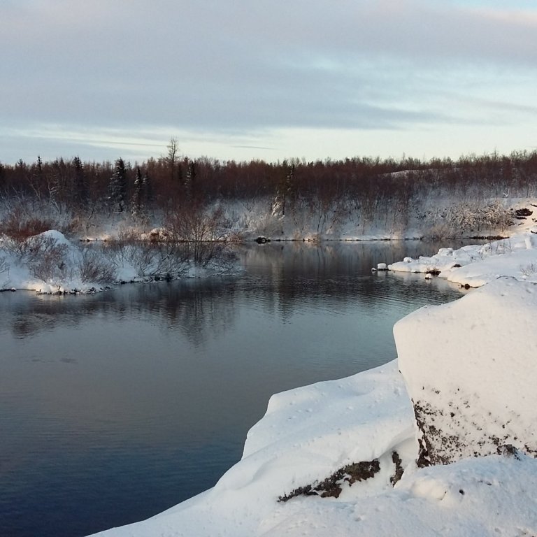 Opnunartími um jól og áramót og viðvera á skrifstofum RML