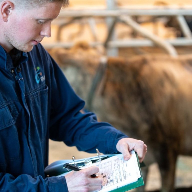 Fjárfestingastuðningur – umsóknarfrestur