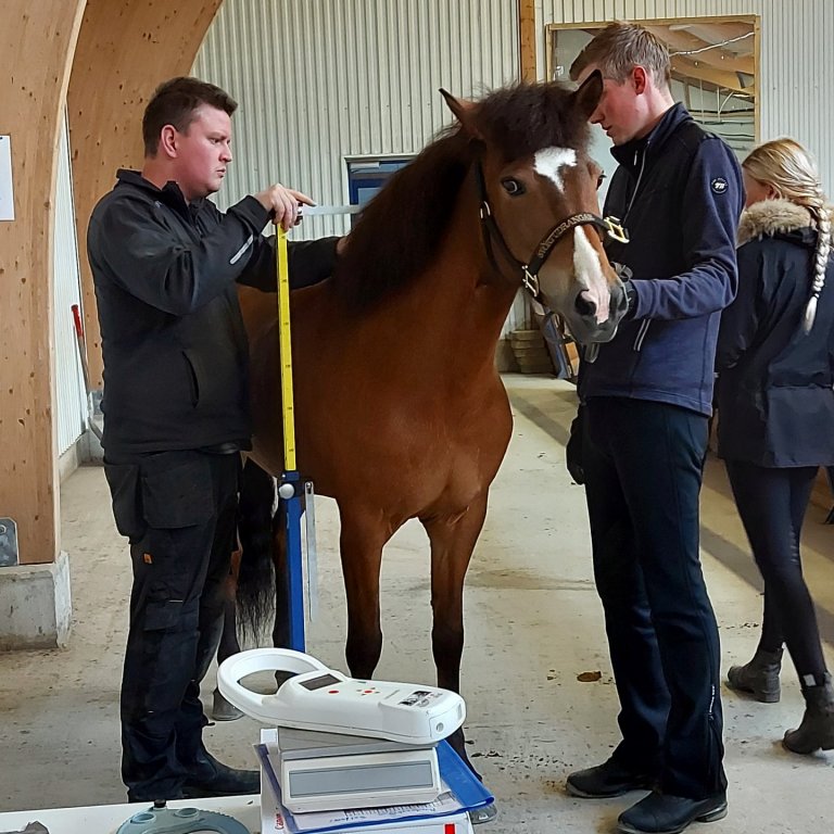 Síðsumarssýning Fljótsdalshéraði 22 og 23. ágúst