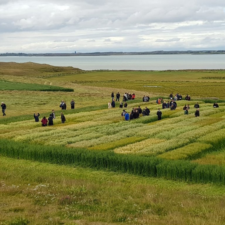 Vel heppnaður ráðunautafundur og Spildudagur