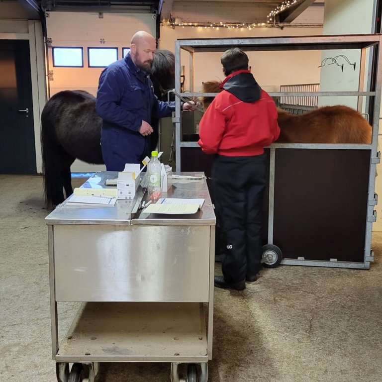 Bæst hefur í hóp örmerkingamanna