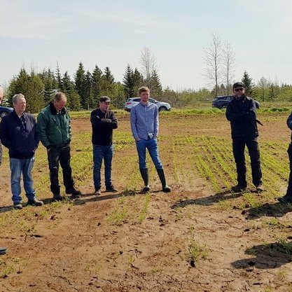 Áhugaverð kornskoðun að Stóra-Ármóti í Flóa