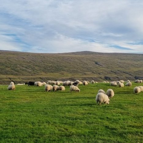 Prentun á vorbókum