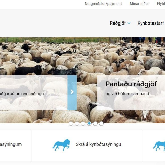 Hver er þín skoðun á vef RML?