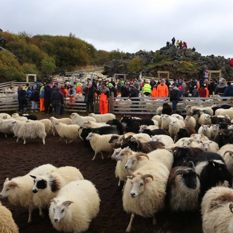 „Húmar á kvöldin, kveikt er ljós“