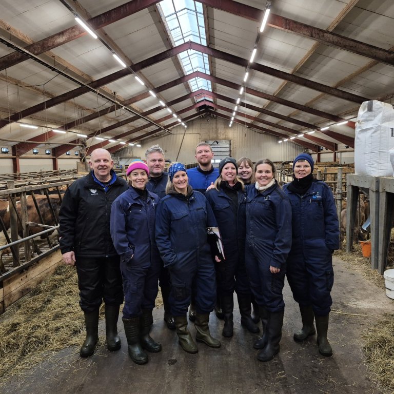 Starfsmenn RML í kúadómum, f.v. Guðmundur Jóhannesson, Guðrún Hildur Gunnarsdóttir, Kristján Óttar E…