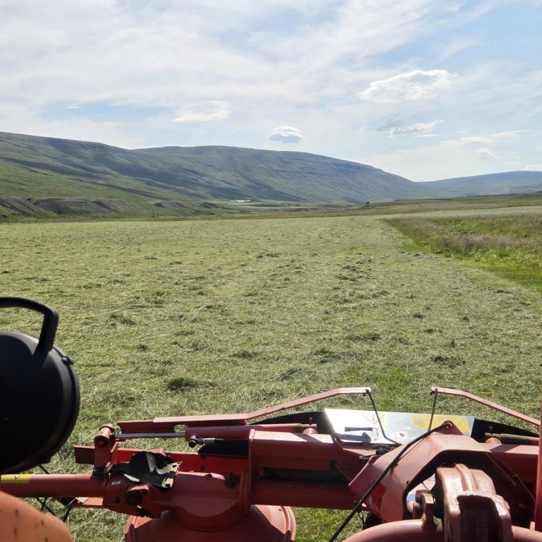 Er jarðræktarskýrsluhaldið í Jörð.is skráð?