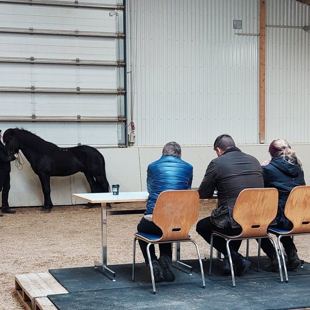 Kynbótasýningar vorsins