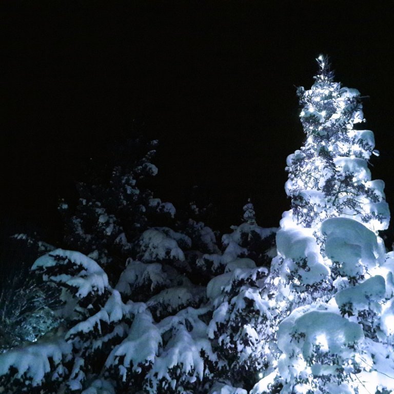 Opnunartími um jól og áramót og viðvera á skrifstofu