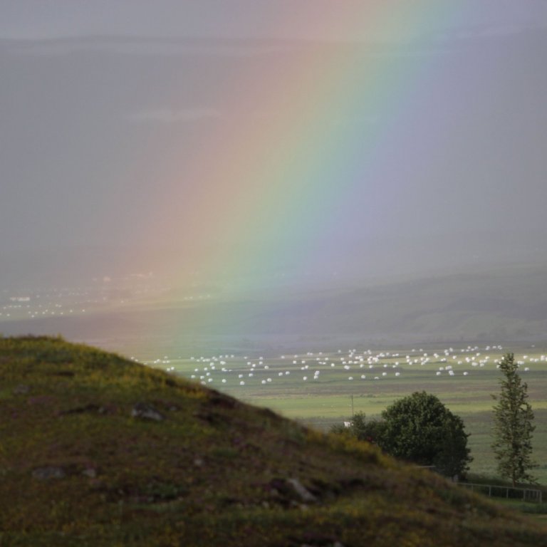 Til viðskiptavina RML