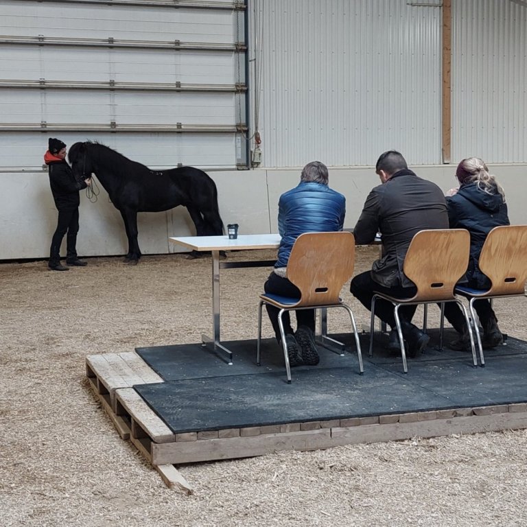Einungis sköpulagsdómar á Hólum í dag, 10.06. - sjá frétt