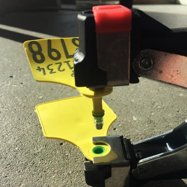 Nú er hægt panta nautgripamerki til DNA-sýnatöku