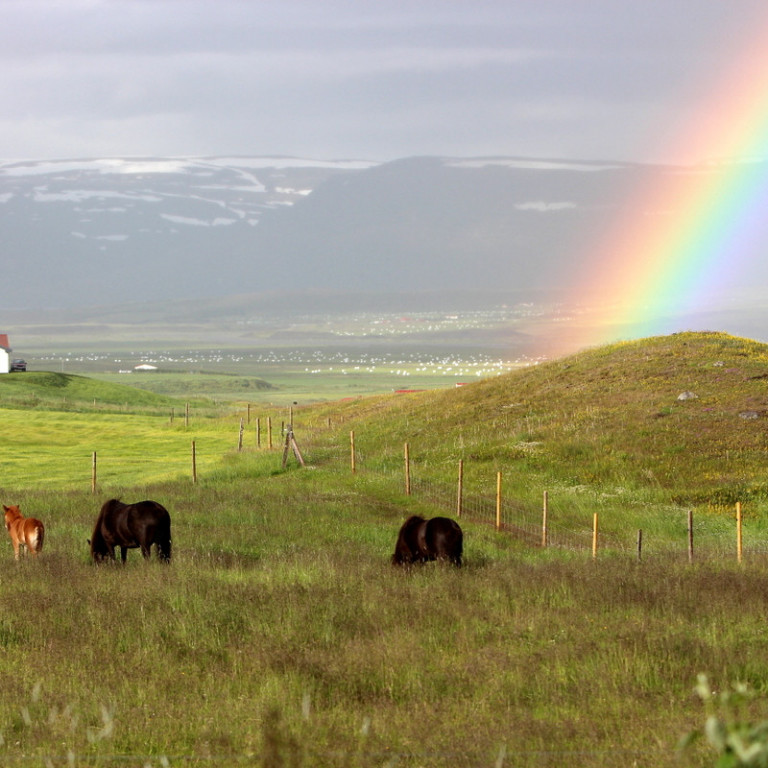 Bændafundir dagana 16-18 janúar