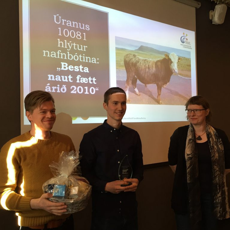 Mynd: Margrét Gísladóttir (naut.is)