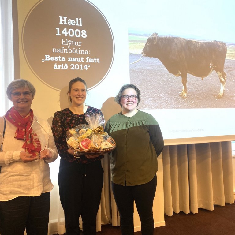 Bolette Höeg Koch og dætur með viðurkenningu fyrir Hæl 14088. Mynd: Bbl., Guðrún Hulda Pálsdóttir.