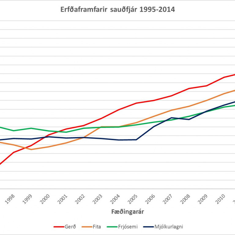 Kynbótamat sauðfjár 2017