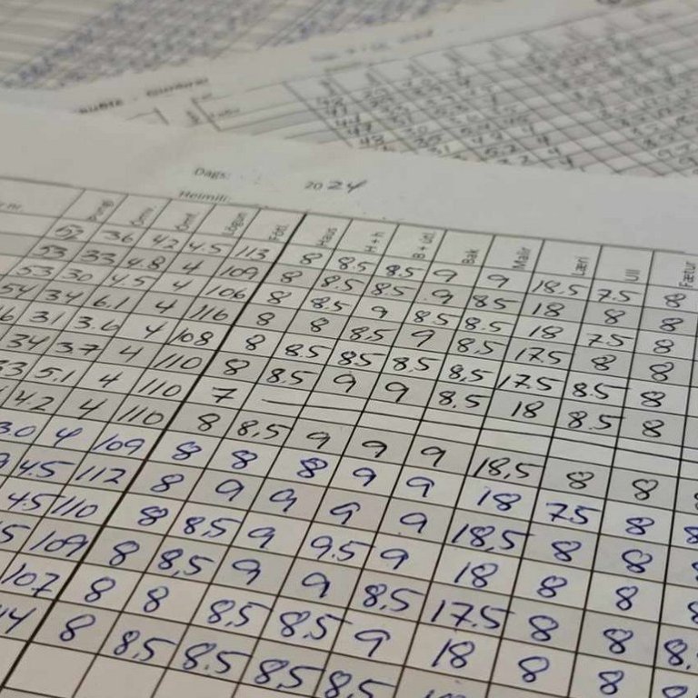 Dómagögn og sláturupplýsingar vegna hrútaskrár