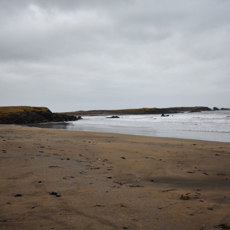Landbúnaður og náttúruvernd, lokaskýrsla og LOGN 2020