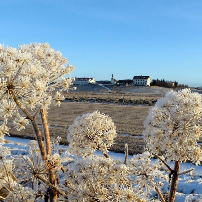 Jólakveðja og opnunartími