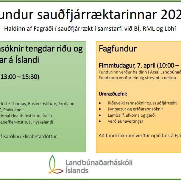 Fagfundur sauðfjárræktarinnar – tveir dagar með spennandi dagskrá