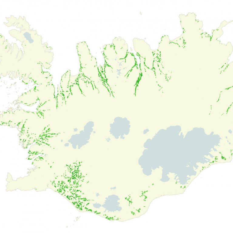 Flatarmál ræktaðs lands