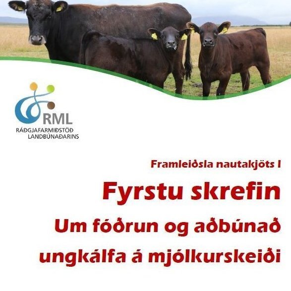 Bæklingur um fóðrun og aðbúnað ungkálfa