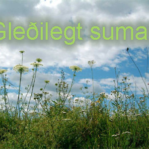 Gleðilegt sumar!