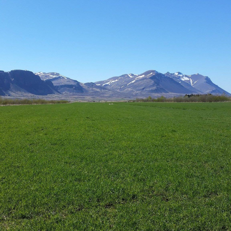 Skráning skýrsluhalds í jarðrækt í Jörð.is