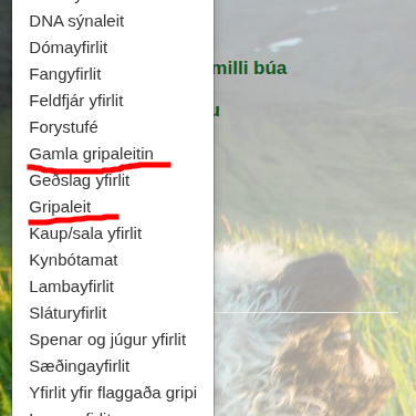 Gripaleitin í Fjárvís