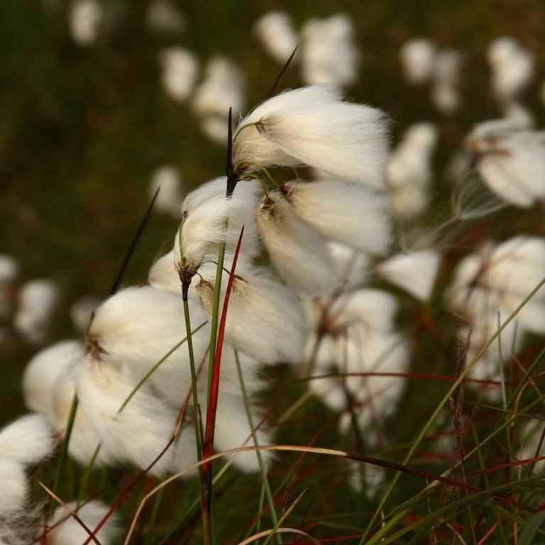 Bændafundir á næstunni
