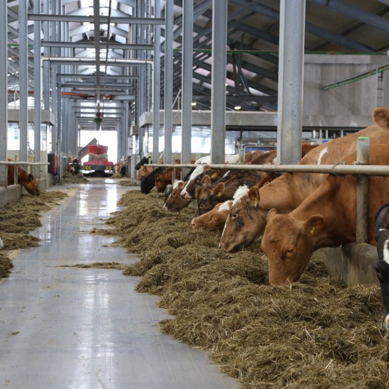 Notendakönnun Huppu