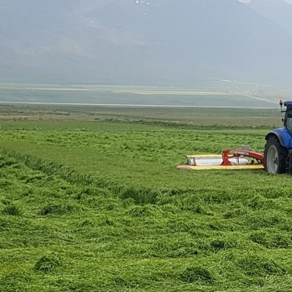 Nokkur atriði tengd slætti