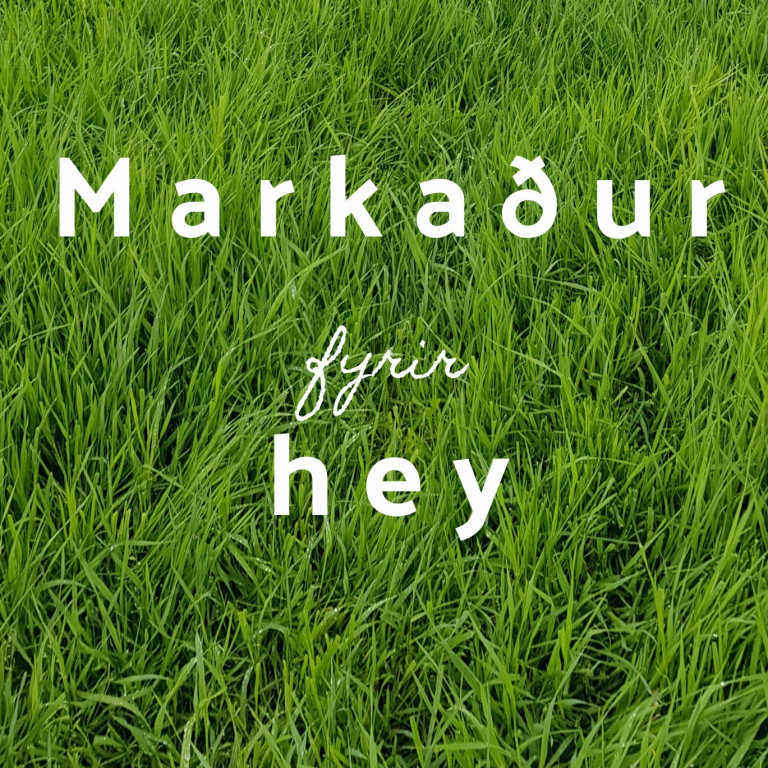 Markaður fyrir umframhey