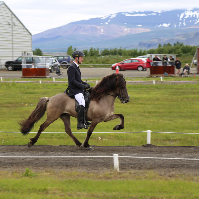 Lokaskráningardagur á síðsumarssýningar er 11. ágúst