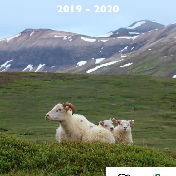 Hrútaskrá 2019-2020 er nú aðgengileg á vefnum