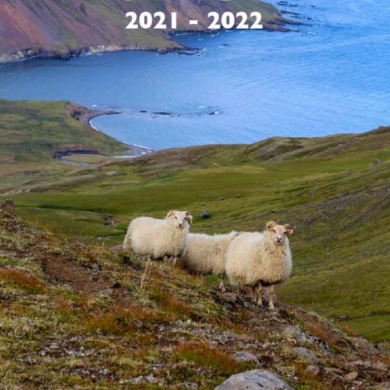 Hrútaskrá vetrarins 2021-22 er komin á vefinn