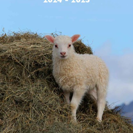 Hrútaskrá 2024-2025 er komin á vefinn