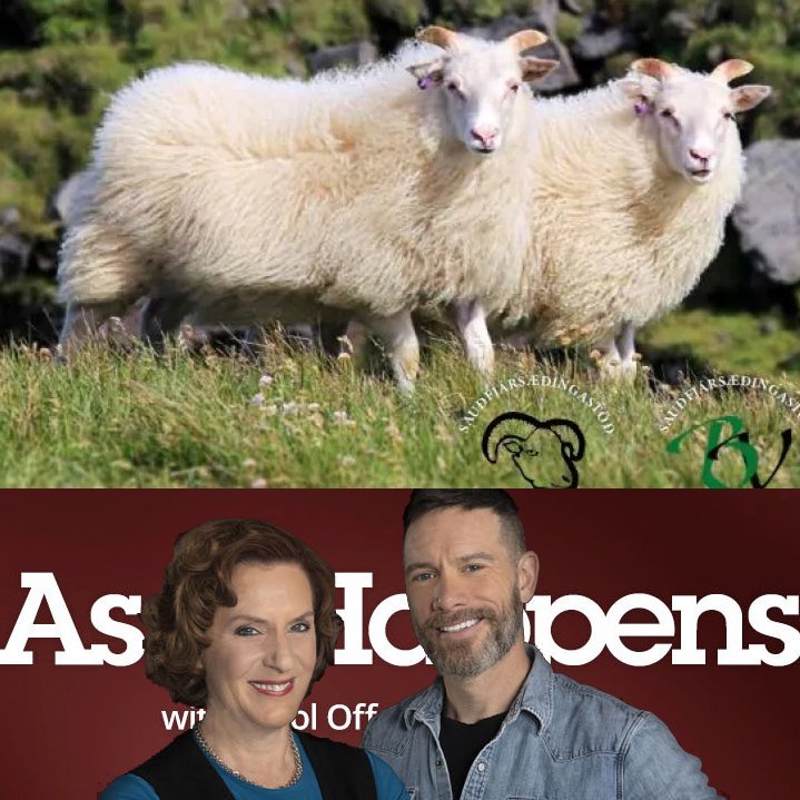 Hrútaskráin og As It Happens. Samsett mynd.