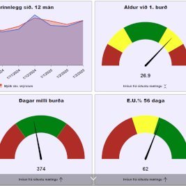 Dæmi um skjáborð í Huppu.