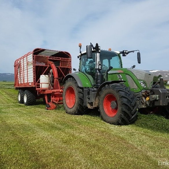 Hvað er gott að hafa í huga við val á íblöndunarefnum í votheysverkun?